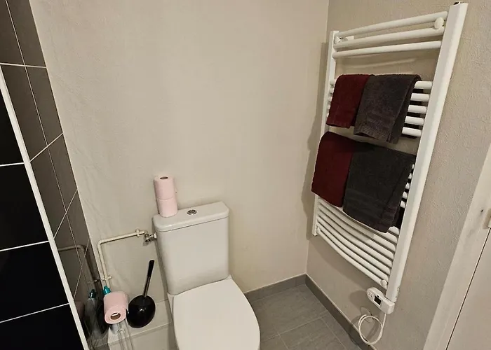 Calme-balcon-parking-5 Min De Pau Centre Appartement *